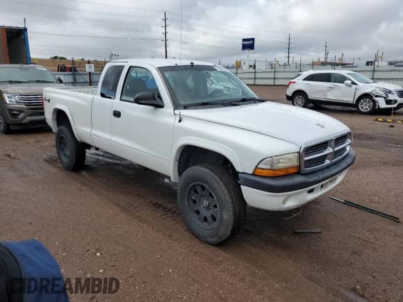 2004 Dodge Dakota Sport with VIN 1D7HG32NX4S603420, listed as a Copart auction lot 70382335 with 204,265 mi miles and Salvage title. Bid and sale history available at DreamBid. Image 4.
