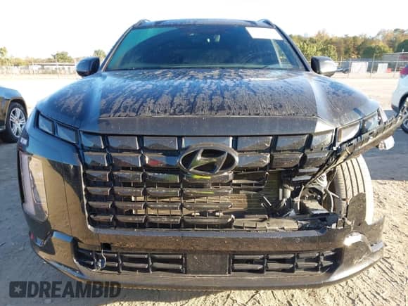 2024 Hyundai Palisade Calligraphy z VIN KM8R7DGE2RU722731, wystawiony jako IAAI lot #43450823 z przebiegiem 28 606 mil mil oraz . Historia ofert i sprzedaży dostępna na DreamBid. Obrazek 12.