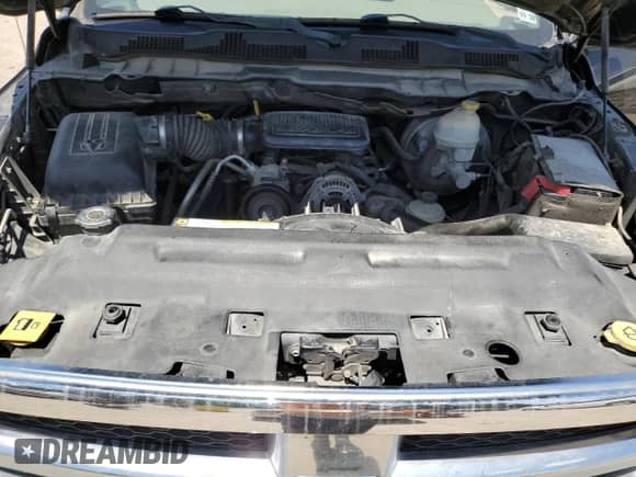 2010 Dodge 1500 ST z VIN 1D7RB1GK5AS141284, wystawiony jako Copart lot #53103935 z przebiegiem 244 913 mil mil oraz Czysty tytuł • Clean title. Historia ofert i sprzedaży dostępna na DreamBid. Obrazek 11.