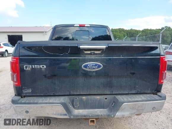 2016 Ford F-150 XLT z VIN 1FTFW1EG4GFC67217, wystawiony jako IAAI lot #43202017 z przebiegiem 227 685 mil mil oraz . Historia ofert i sprzedaży dostępna na DreamBid. Obrazek 16.