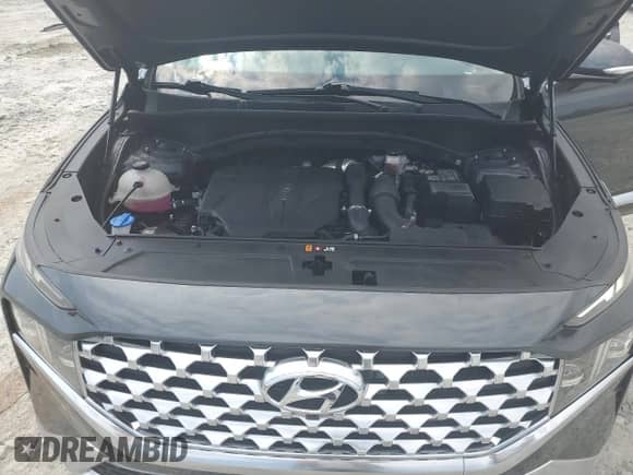 2022 Hyundai Santa Fe Limited с VIN 5NMS4DAL4NH479706, выставлен на аукционе Copart как лот 81205475 с пробегом 24 514 миль миль и Списание • Salvage title. История ставок и продаж доступна на DreamBid. Изображение 12.
