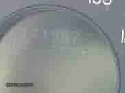 2008 Volvo XC70 with VIN YV4BZ982X81038136, listed as a IAAI auction lot 42661780 with 171,967 mi miles and . Bid and sale history available at DreamBid. Image 15.