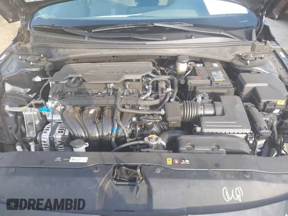 2025 Hyundai Elantra SEL Convenience с VIN KMHLS4DG4SU001746, выставлен на аукционе IAAI как лот 43548381 с пробегом 3 973 миль миль и . История ставок и продаж доступна на DreamBid. Изображение 10.