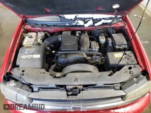 2002 Chevrolet TrailBlazer LS with VIN 1GNDT13S622158224, listed as a Copart auction lot 49047555 with 188,712 mi miles and Salvage title. Bid and sale history available at DreamBid. Image 11.