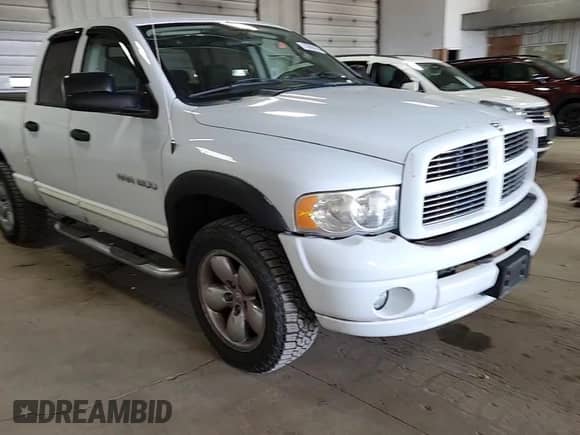 2005 Dodge 1500 SLT with VIN 1D7HU18D15S213755, listed as a Copart auction lot 70699435 with 127,576 mi miles and Non repairable. Bid and sale history available at DreamBid. Image 13.