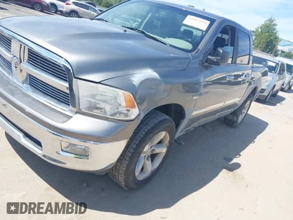2009 Dodge 1500 SLT with VIN 1D3HV13T19S768725, listed as a IAAI auction lot 42997064 with 165,834 mi miles and . Bid and sale history available at DreamBid. Image 17.