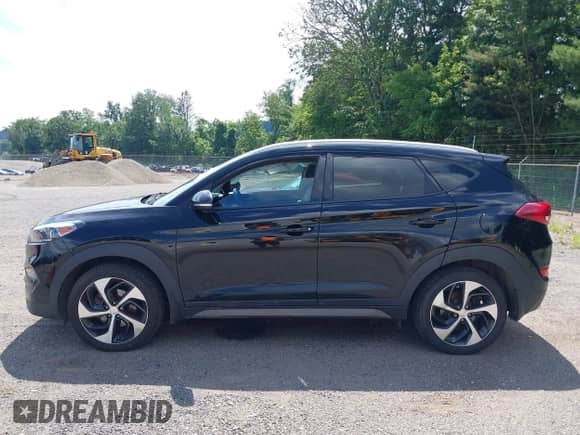 2016 Hyundai Tucson Limited with VIN KM8J3CA29GU209734, listed as a IAAI auction lot 42830542 with 52,744 mi miles and . Bid and sale history available at DreamBid. Image 14.