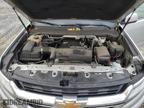 2019 Chevrolet Colorado 2WD LT with VIN 1GCHSCEA3K1175551, listed as a Copart auction lot 79505114 with 84,633 mi miles and Salvage title. Bid and sale history available at DreamBid. Image 11.