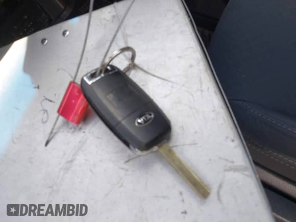 2017 Kia Sorento LX with VIN 5XYPGDA58HG278758, listed as a IAAI auction lot 42781013 with 88,573 mi miles and . Bid and sale history available at DreamBid. Image 11.