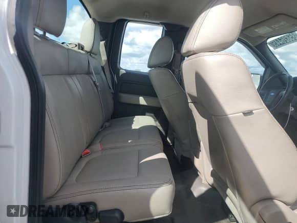 2010 Ford F-150 XL z VIN 1FTEX1CW7AFD34192, wystawiony jako Copart lot #85826445 z przebiegiem 183 392 mil mil oraz Czysty tytuł • Clean title. Historia ofert i sprzedaży dostępna na DreamBid. Obrazek 10.