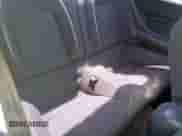 2020 Ford Mustang GT z VIN 1FA6P8CF4L5124483, wystawiony jako Copart lot #80494385 z przebiegiem 51 084 mil mil oraz Szkoda całkowita • Salvage title. Historia ofert i sprzedaży dostępna na DreamBid. Obrazek 10.