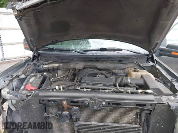 2009 Ford F-150 XL with VIN 1FTRW14829FB24504, listed as a IAAI auction lot 42485199 with 198,639 mi miles and . Bid and sale history available at DreamBid. Image 10.