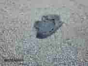 2011 Hyundai Tucson GLS with VIN KM8JU3AC9BU169296, listed as a Copart auction lot 81872225 with 233,358 mi miles and Salvage title. Bid and sale history available at DreamBid. Image 13.