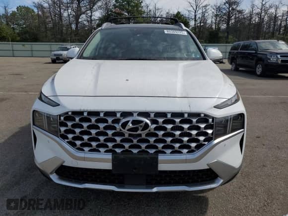 2022 Hyundai Santa Fe Limited with VIN KM8S5DA12NU018620, listed as a Copart auction lot 80389225 with 28,867 mi miles and Salvage title. Bid and sale history available at DreamBid. Image 5.