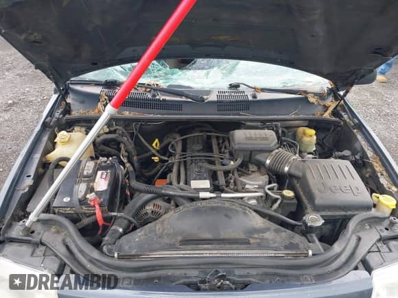 2004 Jeep Grand Cherokee Laredo with VIN 1J4GX48S34C213420, listed as a IAAI auction lot 42221769 with 194,163 mi miles and . Bid and sale history available at DreamBid. Image 10.