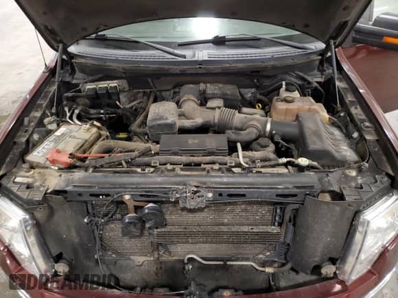 2010 Ford F-150 XL with VIN 1FTFW1EVXAFA57792, listed as a Copart auction lot 80113155 with 126,727 mi miles and Salvage title. Bid and sale history available at DreamBid. Image 11.