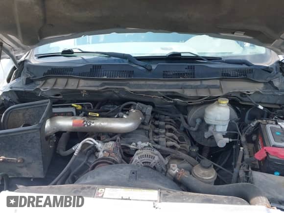 2010 Dodge 1500 SLT z VIN 1D7RV1CP3AS197393, wystawiony jako IAAI lot #42492099 z przebiegiem 238 392 mil mil oraz . Historia ofert i sprzedaży dostępna na DreamBid. Obrazek 10.