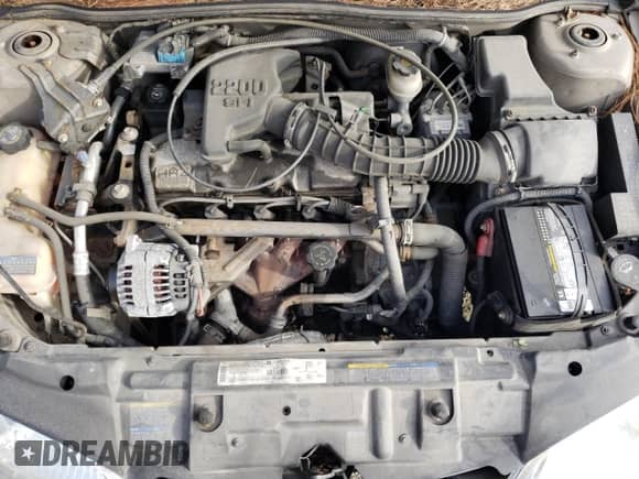 2002 Chevrolet Cavalier with VIN 1G1JC124027460294, listed as a Copart auction lot 49608545 with 71,818 mi miles and Clean title. Bid and sale history available at DreamBid. Image 11.