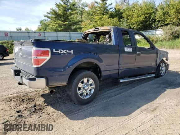 2012 Ford F-150 XLT with VIN 1FTFX1ET8CFC54233, listed as a Copart auction lot 81125215 with Not provided miles and Clean title. Bid and sale history available at DreamBid. Image 3.