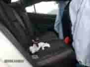 2018 Subaru Impreza Special Sports с VIN 4S3GKAL63J1606970, выставлен на аукционе Copart как лот 85511334 с пробегом Не указан миль и Чистый • Clean title. История ставок и продаж доступна на DreamBid. Изображение 10.