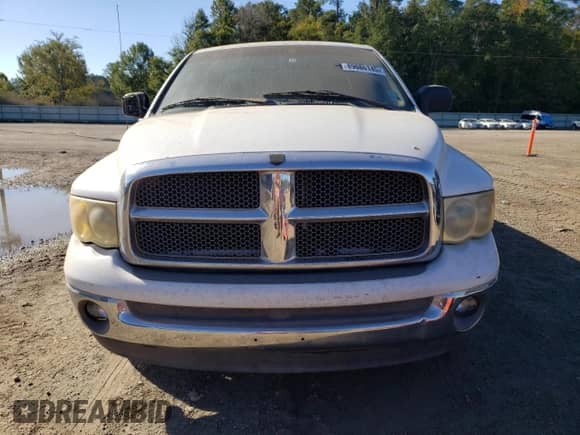 2002 Dodge 1500 with VIN 1B7HA18ZX2J112259, listed as a Copart auction lot 89686145 with 169,225 mi miles and Clean title. Bid and sale history available at DreamBid. Image 5.