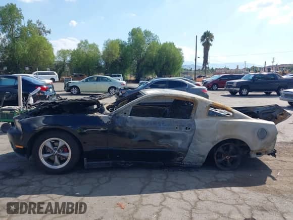 2010 Ford Mustang V6 с VIN 1ZVBP8AN7A5101020, выставлен на аукционе IAAI как лот 43267354 с пробегом Не указан миль и . История ставок и продаж доступна на DreamBid. Изображение 13.