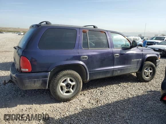 1999 Dodge Durango with VIN 1B4HS28Y4XF529071, listed as a Copart auction lot 52450525 with 191,259 mi miles and Salvage title. Bid and sale history available at DreamBid. Image 3.