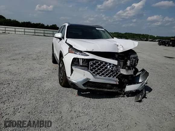 2021 Hyundai Santa Fe Limited with VIN 5NMS4DAL9MH339889, listed as a Copart auction lot 55283765 with 40,173 mi miles and Salvage title. Bid and sale history available at DreamBid. Image 14.