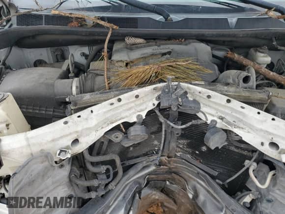 2016 Toyota Tundra Platinum with VIN 5TFGW5F19GX207773, listed as a Copart auction lot 51948075 with Not provided miles and Salvage title. Bid and sale history available at DreamBid. Image 12.