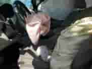 2009 Honda Pilot Touring with VIN 5FNYF38809B002505, listed as a Copart auction lot 61857065 with Not provided miles and Salvage title. Bid and sale history available at DreamBid. Image 7.