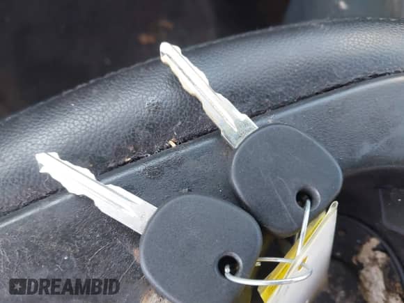 2007 GMC Sierra 1500 SLE1 z VIN 3GTEC13C97G544835, wystawiony jako IAAI lot #43489915 z przebiegiem 254 538 mil mil oraz . Historia ofert i sprzedaży dostępna na DreamBid. Obrazek 11.