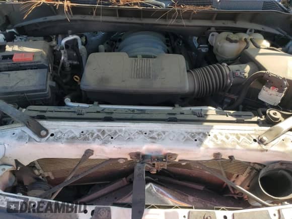 2019 Chevrolet Silverado 1500 with VIN 1GCRWEED1KZ325219, listed as a Copart auction lot 59885885 with 114,371 mi miles and Salvage title. Bid and sale history available at DreamBid. Image 11.