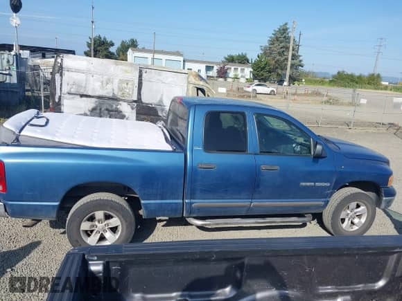 2002 Dodge 1500 with VIN 3D7HU18N22G173262, listed as a IAAI auction lot 42455229 with 395,848 mi miles and . Bid and sale history available at DreamBid. Image 13.