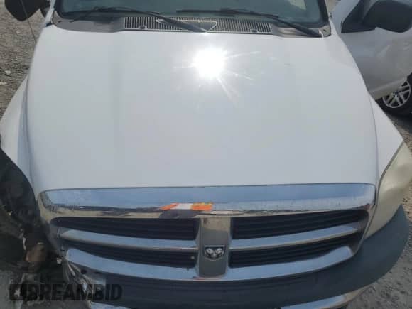 2008 Dodge 1500 ST with VIN 1D7HU16N48J176965, listed as a Copart auction lot 60341005 with Not provided miles and Salvage title. Bid and sale history available at DreamBid. Image 11.