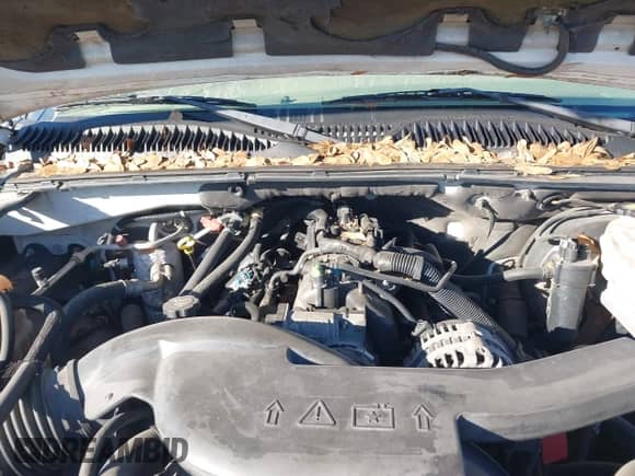 2003 Chevrolet Tahoe Special Service с VIN 1GNEK13V43R182371, выставлен на аукционе IAAI как лот 41674371 с пробегом 288 498 миль миль и . История ставок и продаж доступна на DreamBid. Изображение 10.