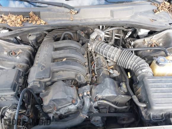 2008 Chrysler 300 LX with VIN 2C3KA43R58H327903, listed as a IAAI auction lot 43416977 with Not provided miles and . Bid and sale history available at DreamBid. Image 10.