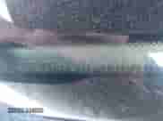 2016 Ford Fiesta S z VIN 3FADP4TJ7GM170670, wystawiony jako IAAI lot #43055408 z przebiegiem 78 580 mil mil oraz . Historia ofert i sprzedaży dostępna na DreamBid. Obrazek 9.