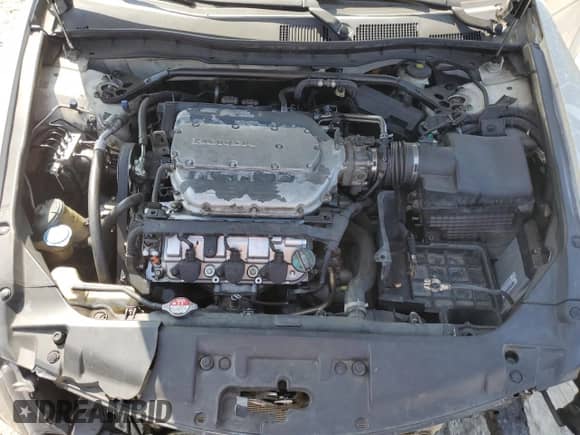 2010 Honda Accord EX with VIN 1HGCP3F70AA030935, listed as a Copart auction lot 80926705 with 186,992 mi miles and Salvage title. Bid and sale history available at DreamBid. Image 11.