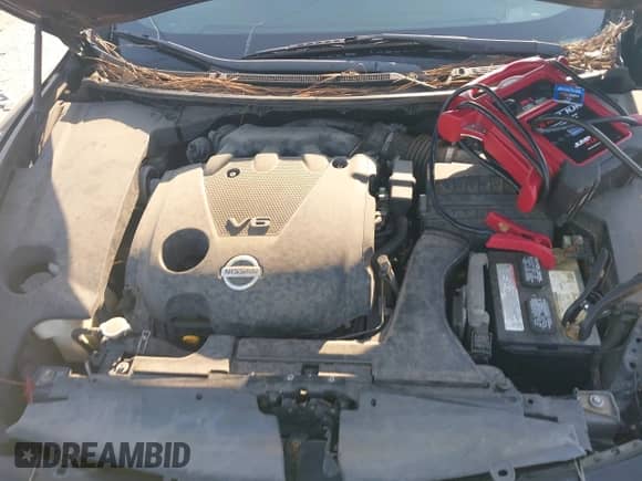 2014 Nissan Maxima S z VIN 1N4AA5AP8EC464837, wystawiony jako IAAI lot #43232603 z przebiegiem 173 546 mil mil oraz . Historia ofert i sprzedaży dostępna na DreamBid. Obrazek 10.