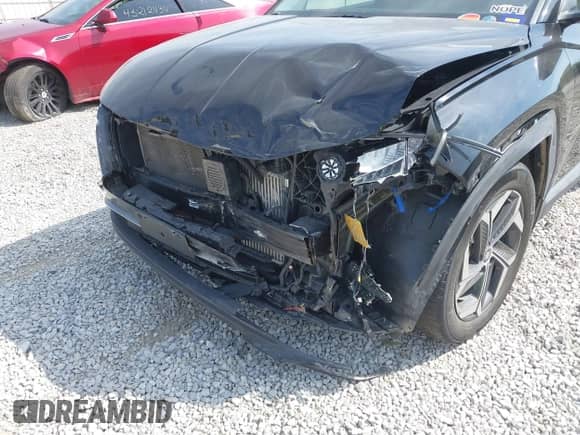 2023 Hyundai Tucson SEL Convenience with VIN KM8JFCA11PU107360, listed as a IAAI auction lot 43228373 with 43,016 mi miles and . Bid and sale history available at DreamBid. Image 6.