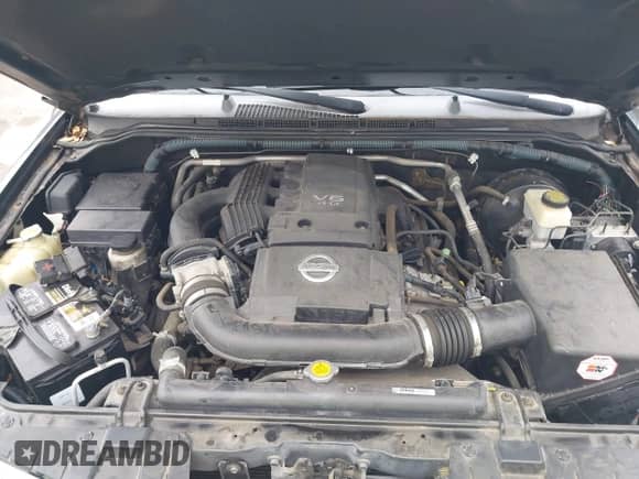 2009 Nissan Frontier SE with VIN 1N6AD07U09C418200, listed as a IAAI auction lot 42475179 with 55,980 mi miles and . Bid and sale history available at DreamBid. Image 10.