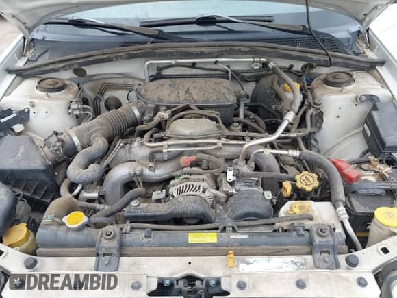 2008 Subaru Forester X with VIN JF1SG636X8H703048, listed as a IAAI auction lot 43432387 with 97,286 mi miles and . Bid and sale history available at DreamBid. Image 10.