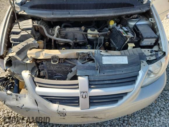 2005 Dodge Caravan SE with VIN 2D4GP24R15R108190, listed as a Copart auction lot 80565135 with 192,090 mi miles and Salvage title. Bid and sale history available at DreamBid. Image 12.