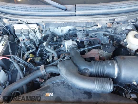 2008 Ford F-150 STX with VIN 1FTRX14W88FC00558, listed as a IAAI auction lot 43438344 with 111,576 mi miles and . Bid and sale history available at DreamBid. Image 10.