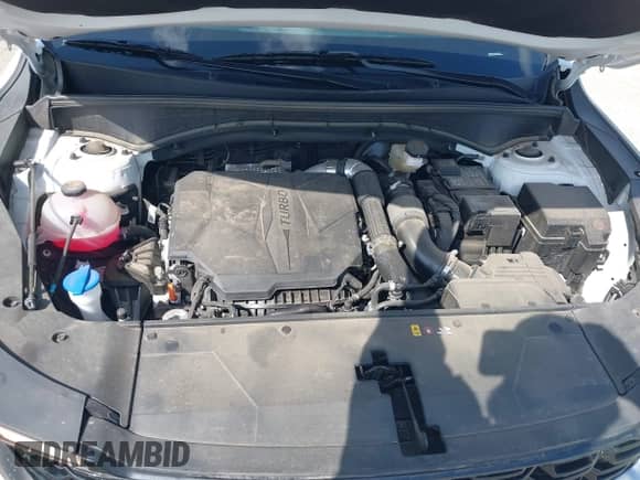 2025 Kia Sorento EX z VIN 5XYRH4JFXSG326301, wystawiony jako IAAI lot #42695332 z przebiegiem 19 187 mil mil oraz . Historia ofert i sprzedaży dostępna na DreamBid. Obrazek 10.