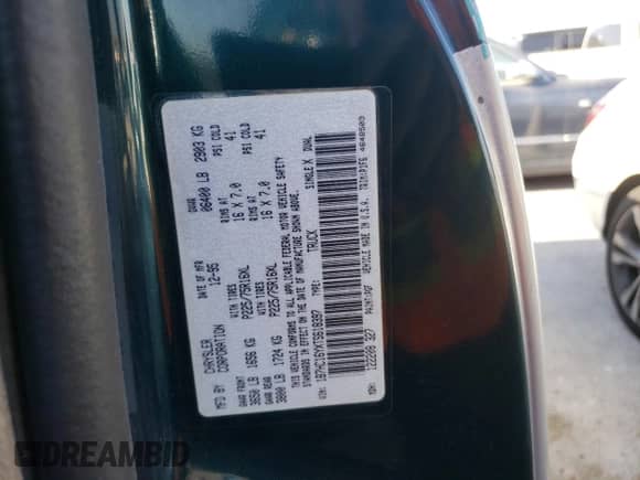 1996 Dodge 1500 with VIN 1B7HC16YXTS618397, listed as a Copart auction lot 52825965 with 282,352 mi miles and Non repairable. Bid and sale history available at DreamBid. Image 12.