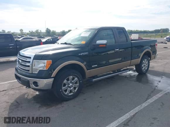 2013 Ford F-150 XL with VIN 1FTFX1ET9DKE01636, listed as a IAAI auction lot 43157322 with 152,892 mi miles and . Bid and sale history available at DreamBid. Image 19.