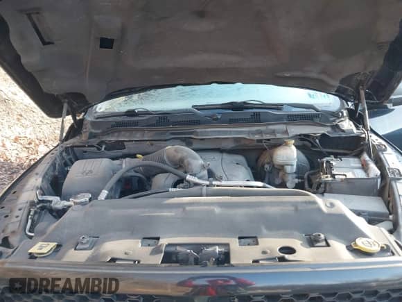 2013 Ram 1500 Tradesman with VIN 1C6RR7FT9DS543551, listed as a IAAI auction lot 41103420 with 254,234 mi miles and . Bid and sale history available at DreamBid. Image 10.