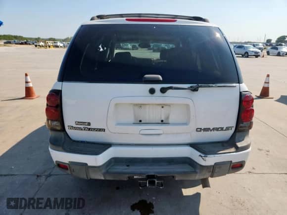 2002 Chevrolet TrailBlazer LS with VIN 1GNDS13S522322209, listed as a Copart auction lot 80184995 with 116,350 mi miles and Salvage title. Bid and sale history available at DreamBid. Image 6.