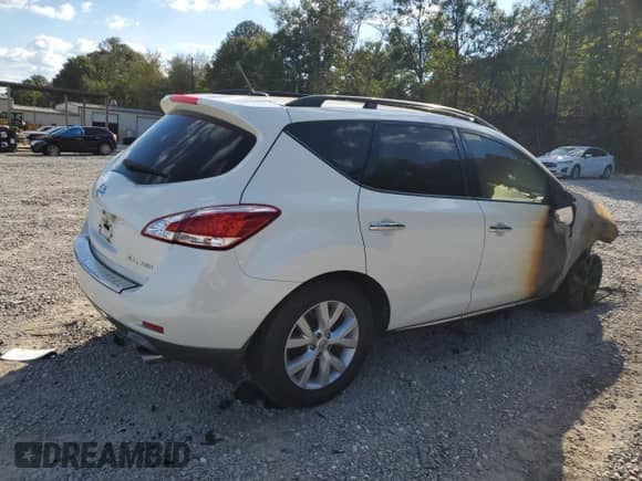 2014 Nissan Murano SL with VIN JN8AZ1MW5EW509377, listed as a Copart auction lot 84922385 with Not provided miles and Salvage title. Bid and sale history available at DreamBid. Image 3.